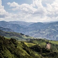 Liquid Toffee Colombia